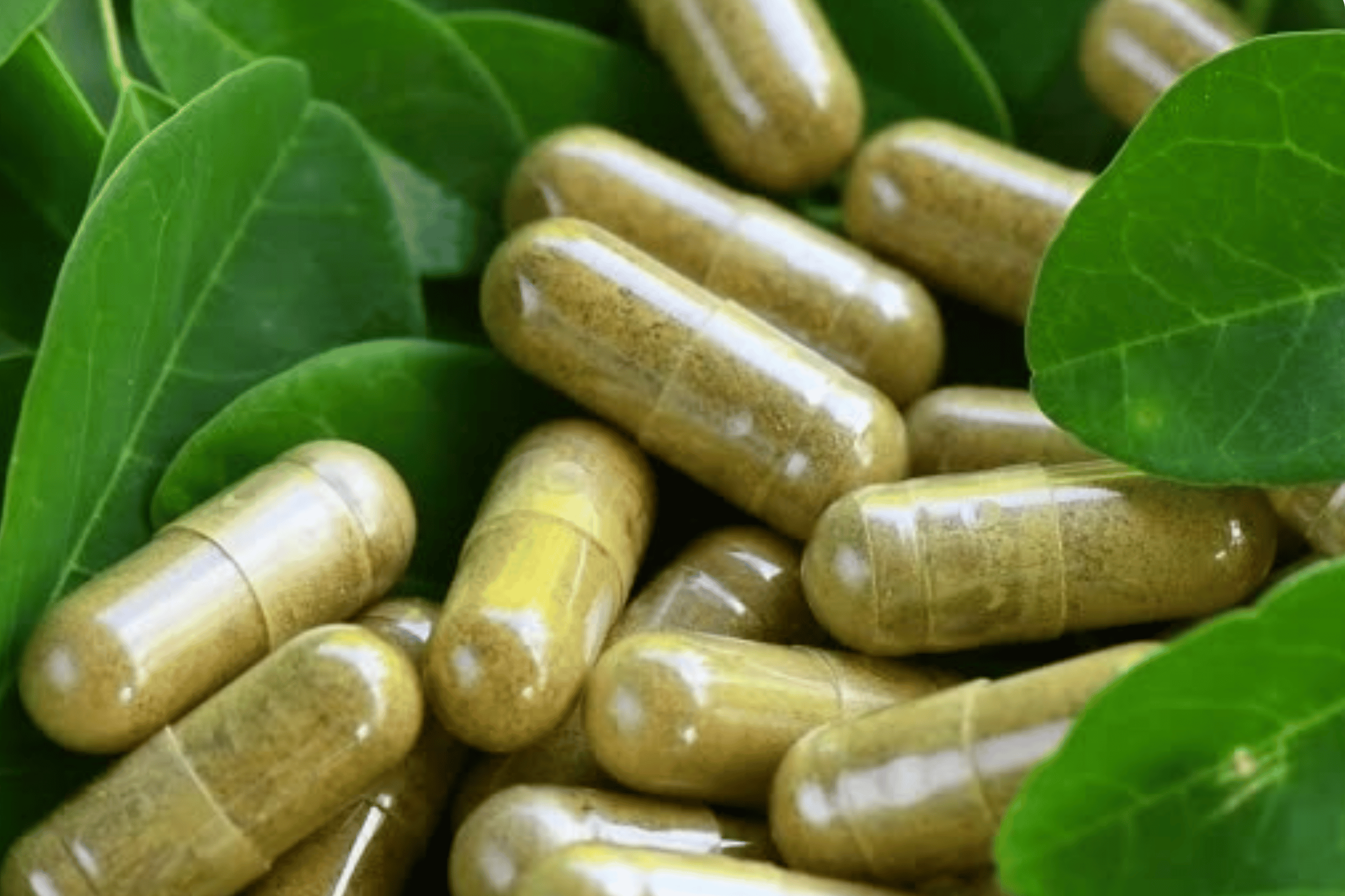 a photo of capsules with leaves in background